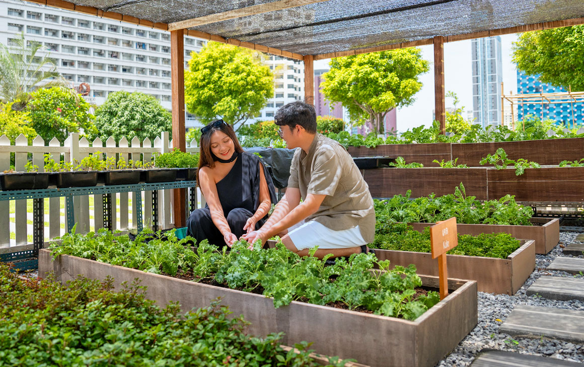 Steps Towards a Greener Future